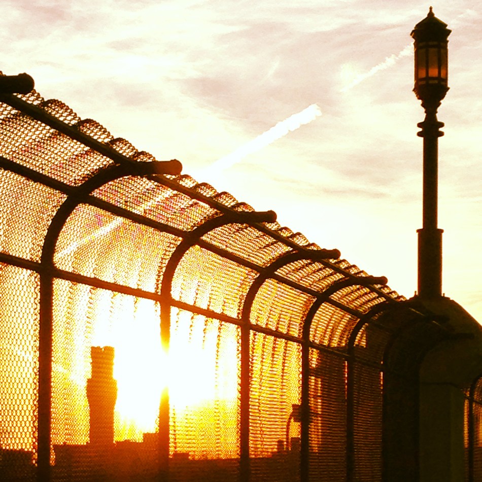 The Best Stuff is Always Behind Fences